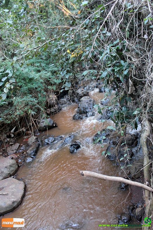 Nascente de ÃƒÆ’Ã†â€™Ãƒâ€šÃ‚Âgua limpa e fresca ao lado do Conjunto Habitacional, responsÃƒÆ’Ã†â€™Ãƒâ€šÃ‚Â¡vel pela Mata ali existente que podemos aprecia-la!
