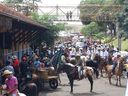 15-03-2015_Cavalgada_026.jpg