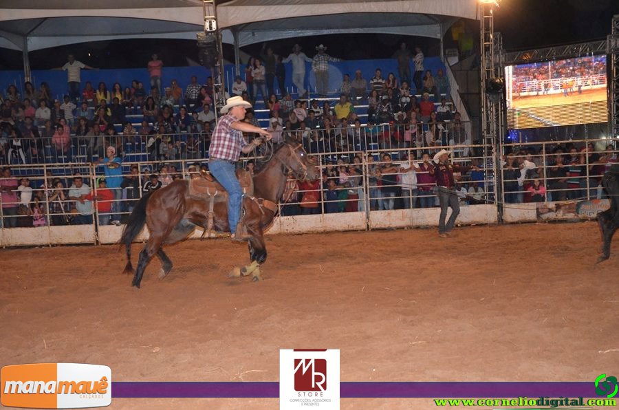 14-06-2015_expoasa_final_rodeio_050.jpg