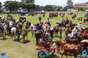 Filename=11-03-2018_Cavalgada_Expo_Londrina_133.jpg
Filesize=324KiB
Dimensions=800x533
Date added=Mar 13, 2018 11-03-2018_Cavalgada_Expo_Londrina_133.jpg