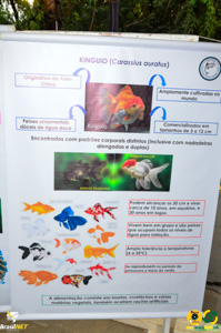 Filename=DSC_6126.jpg
Filesize=243KiB
Dimensions=636x960
Date added=Apr 09, 2024 DSC_6126.jpg