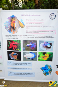 Filename=DSC_6127.jpg
Filesize=249KiB
Dimensions=636x960
Date added=Apr 09, 2024 DSC_6127.jpg