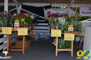 Filename=DSC_6130.jpg
Filesize=293KiB
Dimensions=960x636
Date added=Apr 09, 2024 DSC_6130.jpg