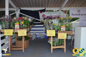 Filename=DSC_6131.jpg
Filesize=271KiB
Dimensions=960x636
Date added=Apr 09, 2024 DSC_6131.jpg