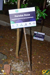 Filename=DSC_6136.jpg
Filesize=328KiB
Dimensions=636x960
Date added=Apr 09, 2024 DSC_6136.jpg