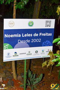 Filename=DSC_6138.jpg
Filesize=289KiB
Dimensions=636x960
Date added=Apr 09, 2024 DSC_6138.jpg