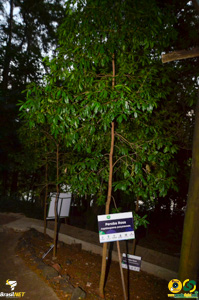 Filename=DSC_6139.jpg
Filesize=345KiB
Dimensions=636x960
Date added=Apr 09, 2024 DSC_6139.jpg