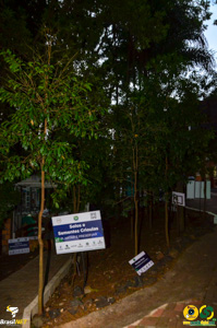 Filename=DSC_6140.jpg
Filesize=320KiB
Dimensions=636x960
Date added=Apr 09, 2024 DSC_6140.jpg