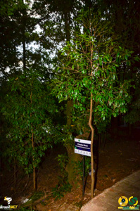 Filename=DSC_6141.jpg
Filesize=392KiB
Dimensions=636x960
Date added=Apr 09, 2024 DSC_6141.jpg