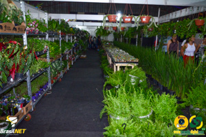 Filename=DSC_6154.jpg
Filesize=372KiB
Dimensions=960x636
Date added=Apr 09, 2024 DSC_6154.jpg