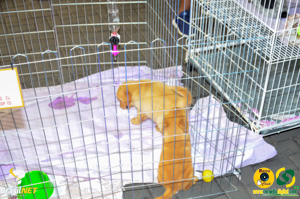 Filename=DSC_6214.jpg
Filesize=320KiB
Dimensions=960x636
Date added=Apr 09, 2024 DSC_6214.jpg