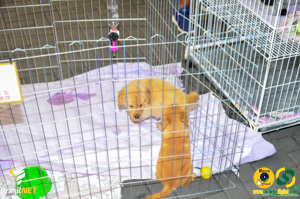 Filename=DSC_6215.jpg
Filesize=313KiB
Dimensions=960x636
Date added=Apr 09, 2024 DSC_6215.jpg