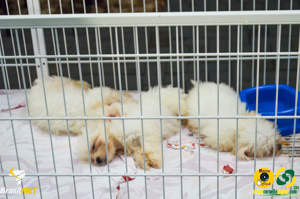 Filename=DSC_6219.jpg
Filesize=238KiB
Dimensions=960x636
Date added=Apr 09, 2024 DSC_6219.jpg