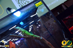 Filename=DSC_6236.jpg
Filesize=244KiB
Dimensions=960x636
Date added=Apr 09, 2024 DSC_6236.jpg