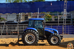 Filename=DSC_2269.jpg
Filesize=357KiB
Dimensions=960x636
Date added=Jun 20, 2024 DSC_2269.jpg