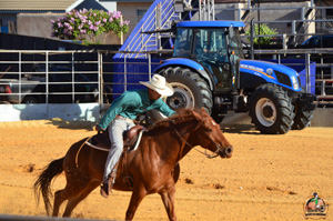 Filename=DSC_2274.jpg
Filesize=364KiB
Dimensions=960x636
Date added=Jun 20, 2024 DSC_2274.jpg