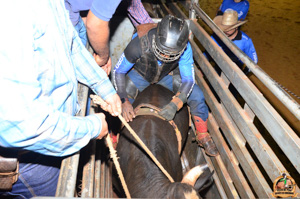 Filename=DSC_3383.jpg
Filesize=345KiB
Dimensions=960x636
Date added=Jun 20, 2024 DSC_3383.jpg