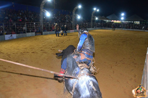 Filename=DSC_3384.jpg
Filesize=274KiB
Dimensions=960x636
Date added=Jun 20, 2024 DSC_3384.jpg