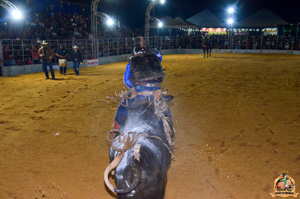 Filename=DSC_3386.jpg
Filesize=314KiB
Dimensions=960x636
Date added=Jun 20, 2024 DSC_3386.jpg