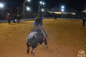 Filename=DSC_3387.jpg
Filesize=258KiB
Dimensions=960x636
Date added=Jun 20, 2024 DSC_3387.jpg