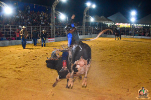 Filename=DSC_3388.jpg
Filesize=347KiB
Dimensions=960x636
Date added=Jun 20, 2024 DSC_3388.jpg