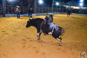 Filename=DSC_3393.jpg
Filesize=367KiB
Dimensions=960x636
Date added=Jun 20, 2024 DSC_3393.jpg