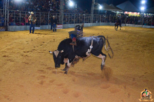 Filename=DSC_3394.jpg
Filesize=318KiB
Dimensions=960x636
Date added=Jun 20, 2024 DSC_3394.jpg