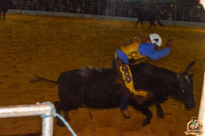 Filename=DSC_3413.jpg
Filesize=245KiB
Dimensions=960x636
Date added=Jun 20, 2024 DSC_3413.jpg