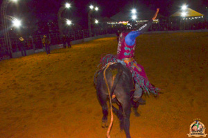 Filename=DSC_3418.jpg
Filesize=323KiB
Dimensions=960x636
Date added=Jun 20, 2024 DSC_3418.jpg