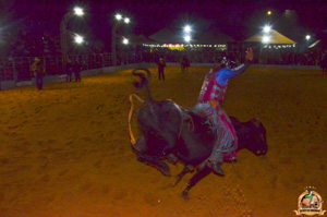 Filename=DSC_3419.jpg
Filesize=312KiB
Dimensions=960x636
Date added=Jun 20, 2024 DSC_3419.jpg