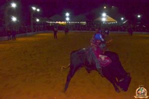 Filename=DSC_3420.jpg
Filesize=306KiB
Dimensions=960x636
Date added=Jun 20, 2024 DSC_3420.jpg