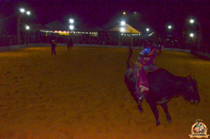 Filename=DSC_3421.jpg
Filesize=302KiB
Dimensions=960x636
Date added=Jun 20, 2024 DSC_3421.jpg