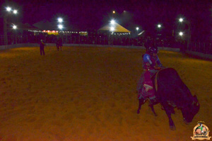 Filename=DSC_3422.jpg
Filesize=300KiB
Dimensions=960x636
Date added=Jun 20, 2024 DSC_3422.jpg