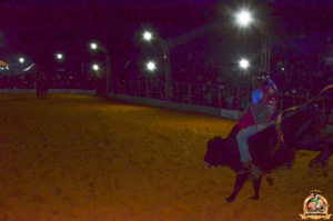 Filename=DSC_3424.jpg
Filesize=290KiB
Dimensions=960x636
Date added=Jun 20, 2024 DSC_3424.jpg