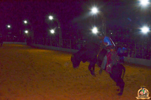 Filename=DSC_3425.jpg
Filesize=310KiB
Dimensions=960x636
Date added=Jun 20, 2024 DSC_3425.jpg