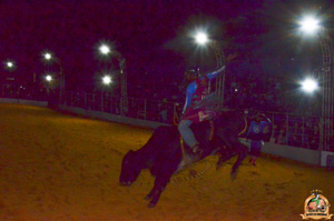 Filename=DSC_3426.jpg
Filesize=306KiB
Dimensions=960x636
Date added=Jun 20, 2024 DSC_3426.jpg