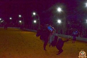 Filename=DSC_3427.jpg
Filesize=303KiB
Dimensions=960x636
Date added=Jun 20, 2024 DSC_3427.jpg