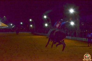 Filename=DSC_3428.jpg
Filesize=301KiB
Dimensions=960x636
Date added=Jun 20, 2024 DSC_3428.jpg