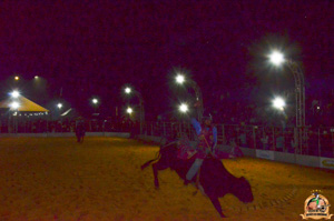 Filename=DSC_3431.jpg
Filesize=296KiB
Dimensions=960x636
Date added=Jun 20, 2024 DSC_3431.jpg