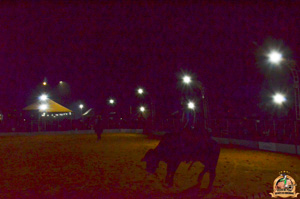 Filename=DSC_3433.jpg
Filesize=290KiB
Dimensions=960x636
Date added=Jun 20, 2024 DSC_3433.jpg