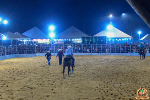 Filename=DSC_3437.jpg
Filesize=295KiB
Dimensions=960x636
Date added=Jun 20, 2024 DSC_3437.jpg