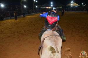 Filename=DSC_3439.jpg
Filesize=242KiB
Dimensions=960x636
Date added=Jun 20, 2024 DSC_3439.jpg