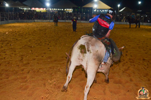 Filename=DSC_3440.jpg
Filesize=299KiB
Dimensions=960x636
Date added=Jun 20, 2024 DSC_3440.jpg