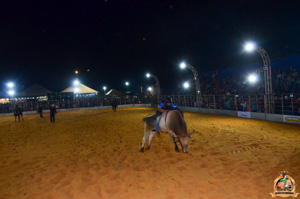 Filename=DSC_3442.jpg
Filesize=234KiB
Dimensions=960x636
Date added=Jun 20, 2024 DSC_3442.jpg