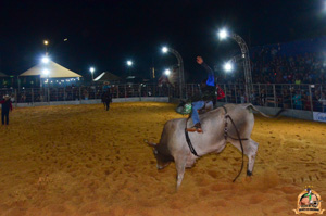 Filename=DSC_3443.jpg
Filesize=260KiB
Dimensions=960x636
Date added=Jun 20, 2024 DSC_3443.jpg