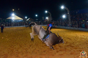 Filename=DSC_3444.jpg
Filesize=276KiB
Dimensions=960x636
Date added=Jun 20, 2024 DSC_3444.jpg