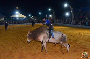 Filename=DSC_3445.jpg
Filesize=276KiB
Dimensions=960x636
Date added=Jun 20, 2024 DSC_3445.jpg