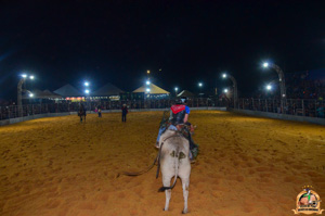 Filename=DSC_3446.jpg
Filesize=232KiB
Dimensions=960x636
Date added=Jun 20, 2024 DSC_3446.jpg