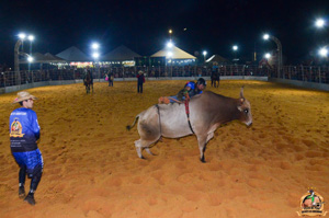 Filename=DSC_3447.jpg
Filesize=294KiB
Dimensions=960x636
Date added=Jun 20, 2024 DSC_3447.jpg