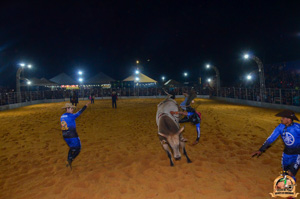 Filename=DSC_3448.jpg
Filesize=240KiB
Dimensions=960x636
Date added=Jun 20, 2024 DSC_3448.jpg